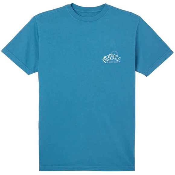 O'Neill Men's Surf Turkey Garment Dye Tee T-Shirt in Storm Blue - Picture 2 of 5